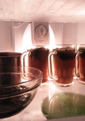 Foto resep Es Cincau Hijau