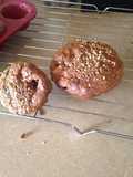 Fruit Explosion Carrot Muffins