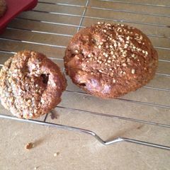 A picture of Fruit Explosion Carrot Muffins.