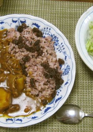 A picture of Sublime! Beef Tendon Curry that Anyone can Make in a Pressure Cooker.