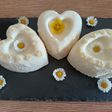Panna cotta al limone