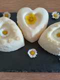 Lemon Panna Cotta