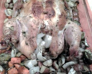 Easy Making Recipe Zax Oven Roasted Chicken Very Delicious