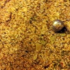 A picture of Cajun Spice Mix.