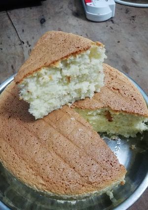 Hình của món Coconut sponge cake - Bông lan dừa nướng.