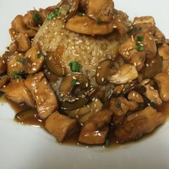 A picture of Bourbon Chicken.