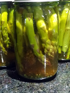 A picture of Canned dill pickle asparagus.