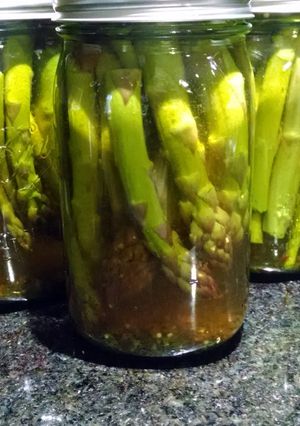 A picture of Canned dill pickle asparagus.