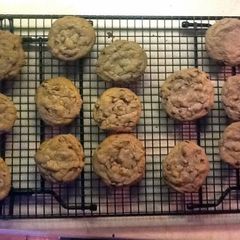Chocolate Chip Cookies A picture of Chocolate Chip Cookies.