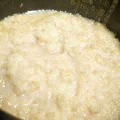 A picture of Brown Rice Amazake from Germinated Brown Rice (with Miyako-Koji).