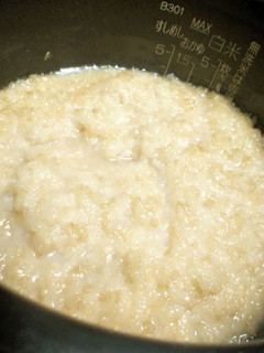 A picture of Brown Rice Amazake from Germinated Brown Rice (with Miyako-Koji).