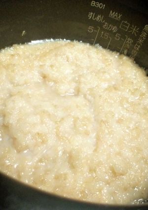 A picture of Brown Rice Amazake from Germinated Brown Rice (with Miyako-Koji).