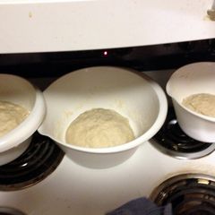 Pizza Dough A picture of Pizza Dough.