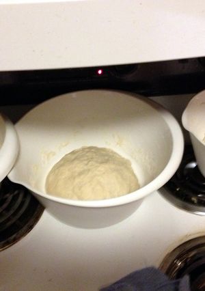 A picture of Pizza Dough.