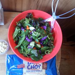 A picture of Fresh wholesome Asian salad.