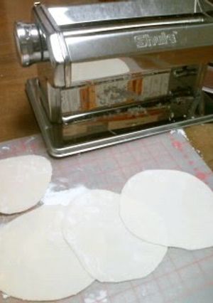 A picture of Homemade Chewy Gyoza Skins.