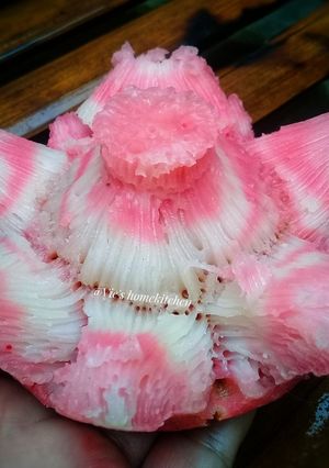 Foto resep Bikang Mawar