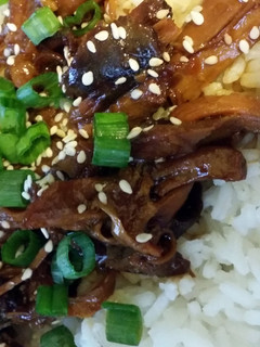A picture of Crockpot Sweet Honey Chicken.