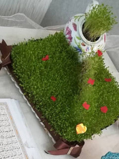 عکسی از دستور سبزه عید