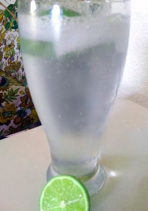 A picture of Sonia's Agua Celis.