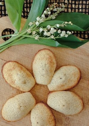 Une photo de Madeleines légères et moelleuses sans beurre