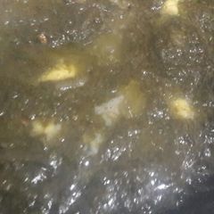 A picture of Desi saag.