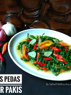 Foto resep Tumis Pedas Sayur Pakis