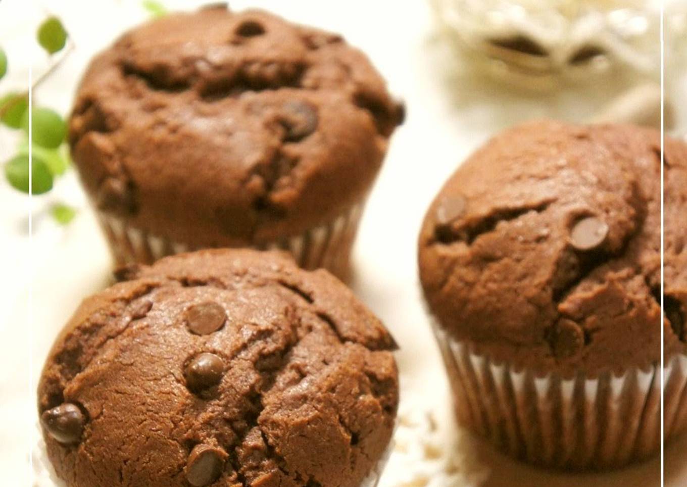 Chocolate Chip Muffins