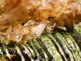 seafood okonomiyaki