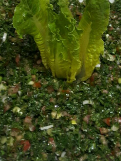 A picture of Lebanese Tabbouleh.