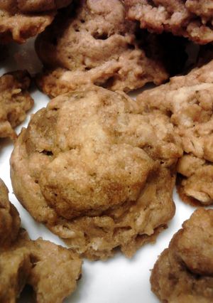 A picture of Grandma Elsie's Chocolate Potato Chip Cookies.
