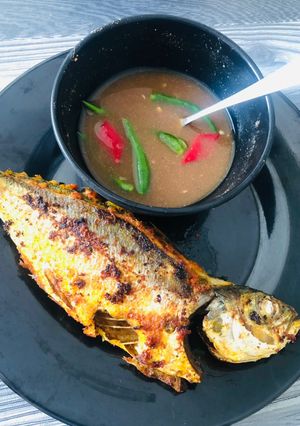 Gambar Ikan Cencaru Sumbat Simple