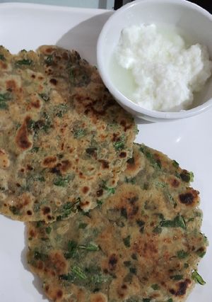 પાલક પરાઠા (Palak Paratha Recipe In Gujarati) રેસીપી મુખ્ય ફોટો