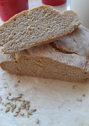 A picture of Simple whole wheat bread.