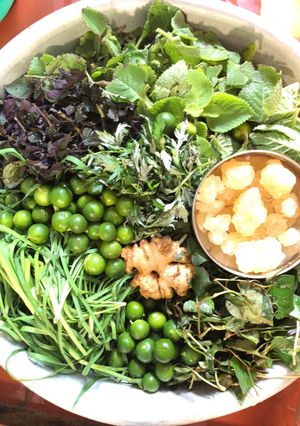 Hình của món Siro húng chanh trị ho, long đờm.