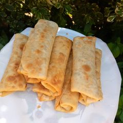 A picture of Vegetable spring roll.