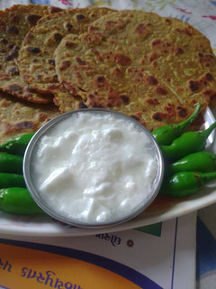 દૂધીના થેપલા (Dudhi Thepla Recipe In Gujarati) રેસીપી મુખ્ય ફોટો