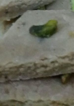 A picture of Kaju barfi.