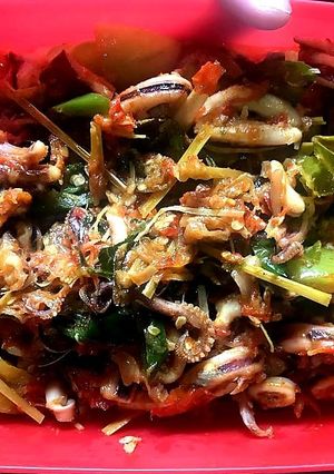 Foto resep Cumi Sambal Bumbu Rempah