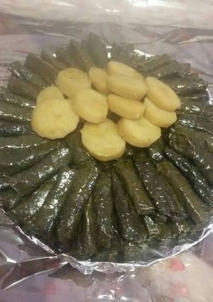 صورة لوصفة ورق العنب بالزيت