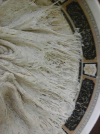 Easy Way Make No- fuss and healthy whole-wheat pizza dough recipe the Awesome  Delicious