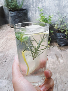 Foto resep Infused Water Lemon With Herbs