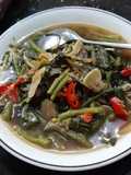 Tumis Daun Ginseng