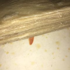 A picture of Samosa wraps.
