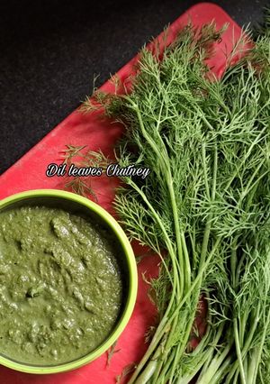 A picture of Dil leaves Chutney.