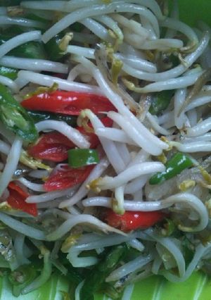 Foto resep Tumis tauge teri