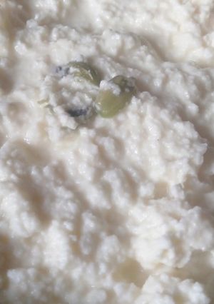 ছানার পায়েস (chanar payesh recipe in Bengali) রেসিপির প্রধান ছবি