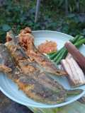 Lele Goreng bikin nagih