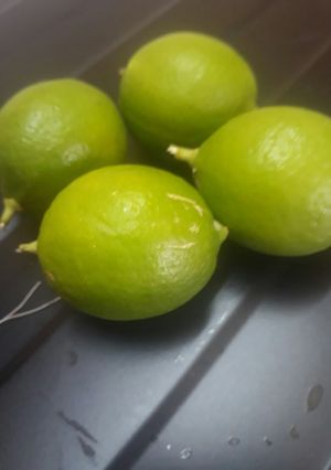 عکسی از دستور آبلیمو