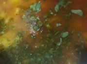 A picture of tamatar seed